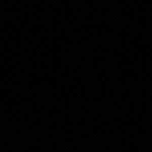 Meet your Posher, Luis